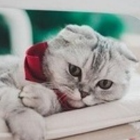 Portrait of a photographer (avatar) Bulat