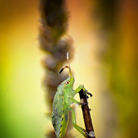 Портрет фотографа (аватар) Игорь Иванов