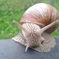 Portrait of a photographer (avatar) Rutkovskaja Жаннэта (Zaneta Rutkovskaja)