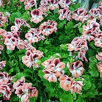 Портрет фотографа (аватар) Полина Голованова (Polina Golovanova)