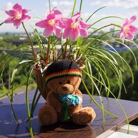 Portrait of a photographer (avatar) Степанов Владимир (Stepanow Vladimir)