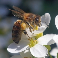 Portrait of a photographer (avatar) Андрей Крупский (Andrey Krupskiy)