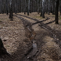 Portrait of a photographer (avatar) подгурченко виталий ильич
