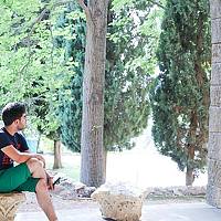 Portrait of a photographer (avatar) AMJED ALANBARI (AMJ)