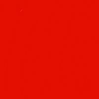 Portrait of a photographer (avatar) Charles Robert Darwin