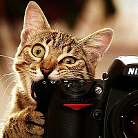 Portrait of a photographer (avatar) Семён