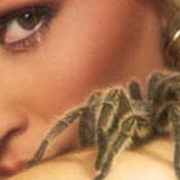 Portrait of a photographer (avatar) Удалилась