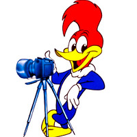 Portrait of a photographer (avatar) Riusfer Urz