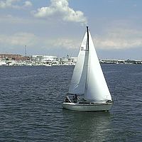 Portrait of a photographer (avatar) Bond, James Bond