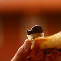 Portrait of a photographer (avatar) Грицаева Юлия