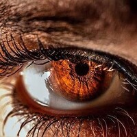 Portrait of a photographer (avatar) Motor Scan