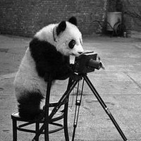 Portrait of a photographer (avatar) Sergii Dudko