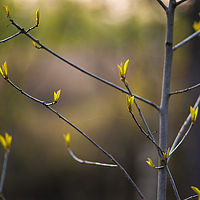 Portrait of a photographer (avatar) Екатерина Карпешина (Ekaterina Karpeschina)