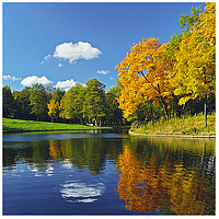 Portrait of a photographer (avatar) Ed