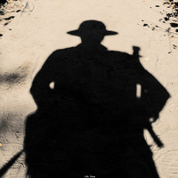 Portrait of a photographer (avatar) Life Song