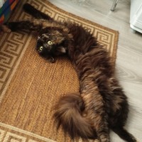 Portrait of a photographer (avatar)  Денис