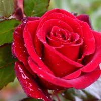 Photo GHJAB Portrait of a photographer (avatar) GHJAB