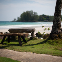 Portrait of a photographer (avatar) noynapas