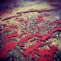 Portrait of a photographer (avatar) marmarart