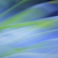 Portrait of a photographer (avatar) sprp77