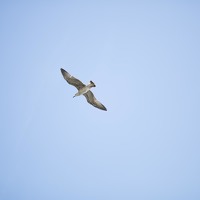 Portrait of a photographer (avatar) Ксения Быкова (Ksenia Bykova)