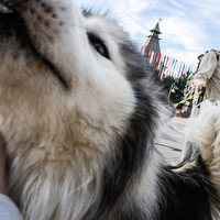 Portrait of a photographer (avatar) Дмитрий Дадонкин (Dadonkin Dmitrii)