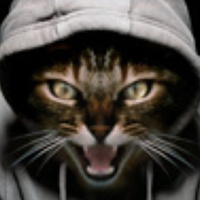 Portrait of a photographer (avatar) Alex