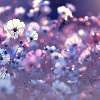 Portrait of a photographer (avatar) Наталья (Natalia)