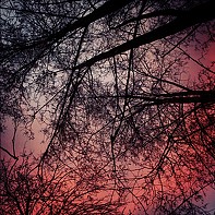 Portrait of a photographer (avatar) Данила Лопаткин (Danila Lopatkin)