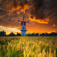 Portrait of a photographer (avatar) Ming Wang