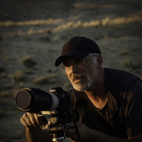 Portrait of a photographer (avatar) Ali Zeki Kaya